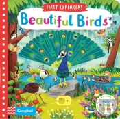 Beautiful Birds