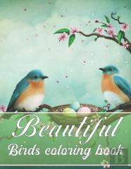 Beautiful Birds Coloring Book
