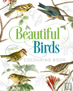 Bertrand.pt - Beautiful Birds Colouring Book