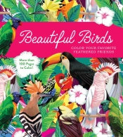 Beautiful Birds