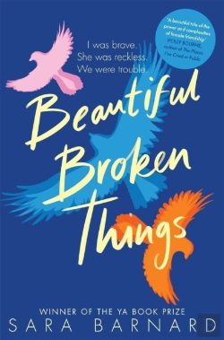 Bertrand.pt - Beautiful Broken Things