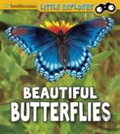 Beautiful Butterflies