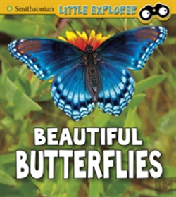 Bertrand.pt - Beautiful Butterflies