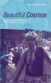 Beautiful Cosmos