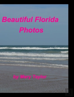 Bertrand.pt - Beautiful Florida Photos