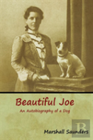 Beautiful Joe