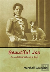 Beautiful Joe