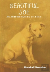 Beautiful Joe