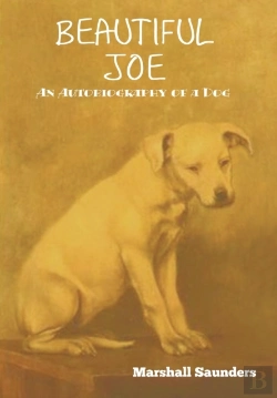 Bertrand.pt - Beautiful Joe