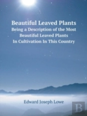 Beautiful Leaved Plants Being A Description Of The Most Beautiful Leaved Plants In Cultivation In This Country