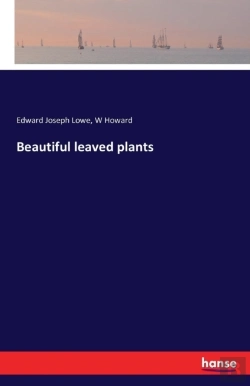Bertrand.pt - Beautiful Leaved Plants