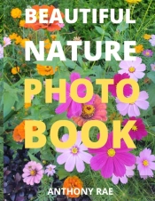 Beautiful Nature Photo Book