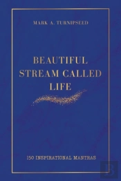 Beautiful Stream Called Life