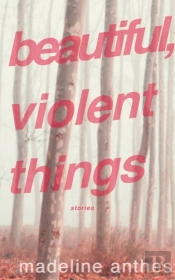 Beautiful, Violent Things