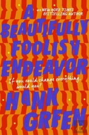 Beautifully Foolish Endeavor