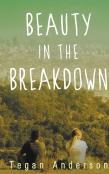 Beauty In The Breakdown