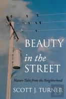 Beauty In The Street