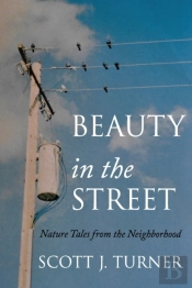Beauty In The Street