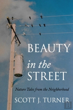 Bertrand.pt - Beauty In The Street