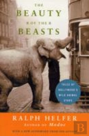 Beauty Of The Beasts