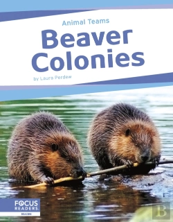 Bertrand.pt - Beaver Colonies