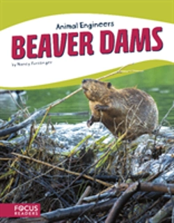 Bertrand.pt - Beaver Dams