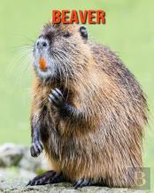 Beaver