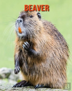 Bertrand.pt - Beaver