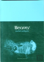 Beaver