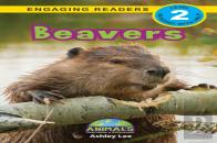 Beavers