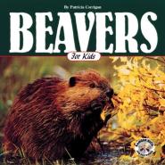 Beavers For Kids