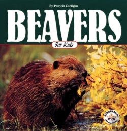 Bertrand.pt - Beavers For Kids
