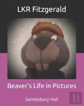 Beaver'S Life In Pictures