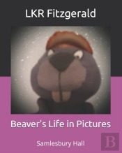 Beaver'S Life In Pictures