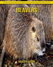 Beavers