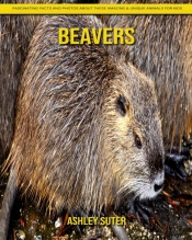 Beavers