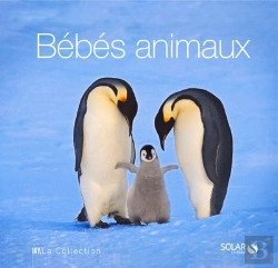 Bertrand.pt - Bebes Animaux - La Collection