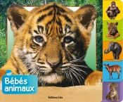 Bebes Animaux : La Jungle