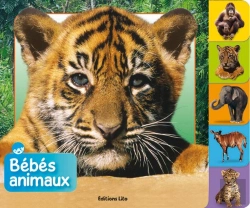 Bertrand.pt - Bebes Animaux : La Jungle