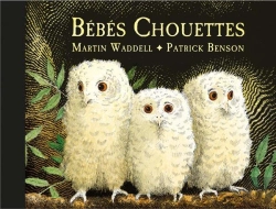 Bertrand.pt - Bébés Chouettes