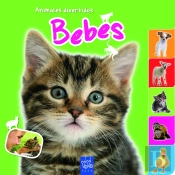 Bebés