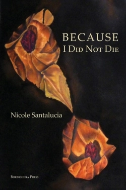 Bertrand.pt - Because I Did Not Die