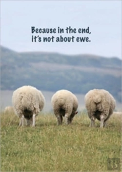 Bertrand.pt - Because In The End, It'S Not About Ewe