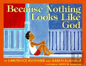 Because Nothing Looks Like God