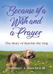 Because Of A Wish And A Prayer