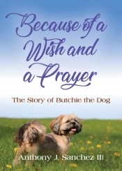 Because Of A Wish And A Prayer