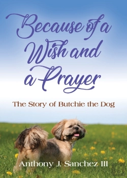 Bertrand.pt - Because Of A Wish And A Prayer