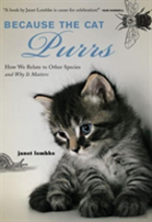 Because The Cat Purrs