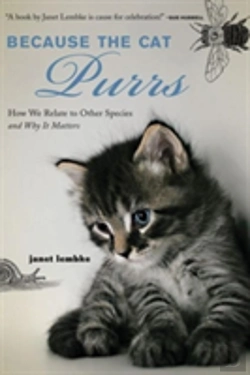 Bertrand.pt - Because The Cat Purrs
