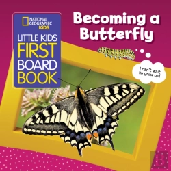Bertrand.pt - Becoming A Butterfly